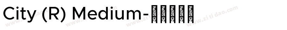 City (R) Medium字体转换